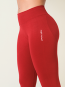 PowerFlow Performance Leggings